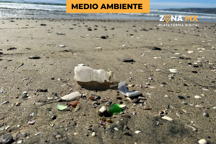 Contaminación Alarmante en las Playas de Baja California