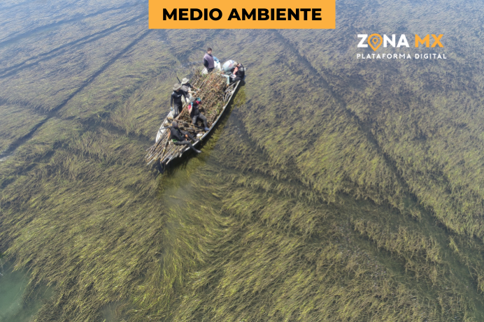 De Norte a Sur: La Alianza Transfronteriza que Está Salvando Ecosistemas en el Noroeste de México.