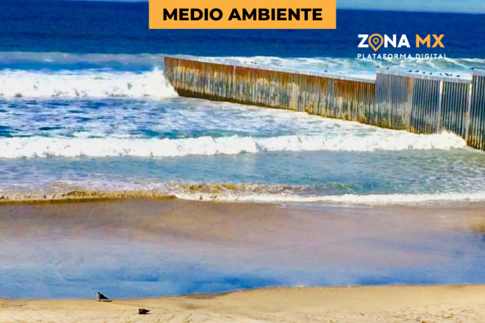 Las playas de Tijuana enfrentan desafíos ambientales