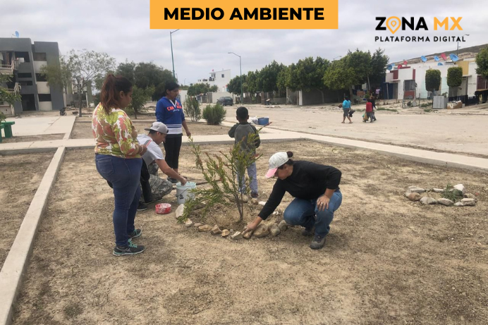 Promueve Hagamos Conciencia A.C. reforestación y recuperación de espacios en BC