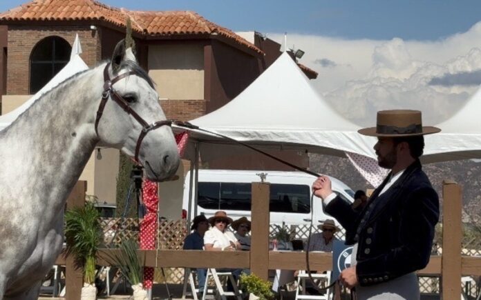 CONQUISTA LA “2ª FERIA DEL CABALLO” AL VALLE DE GUADALUPE
